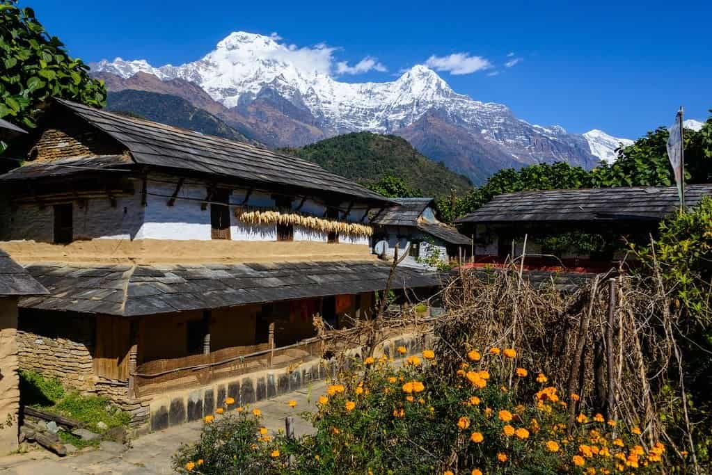 Ghandruk Trek from Pokhara
