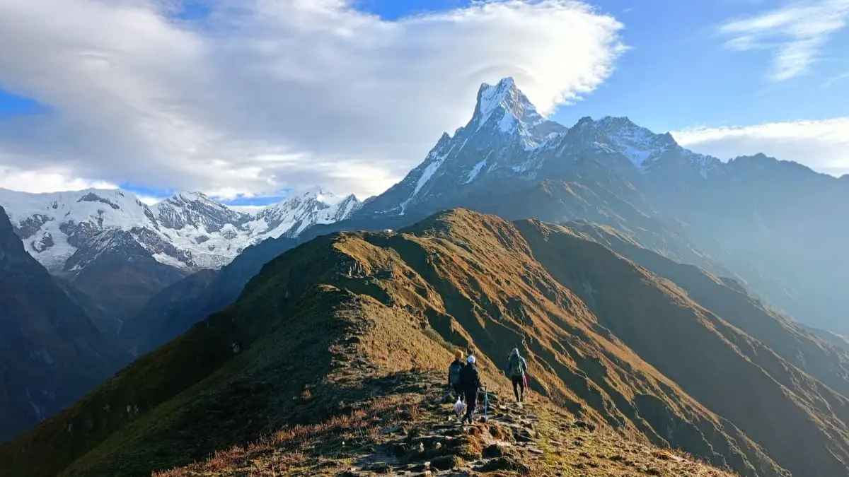 Mardi Himal Base Camp