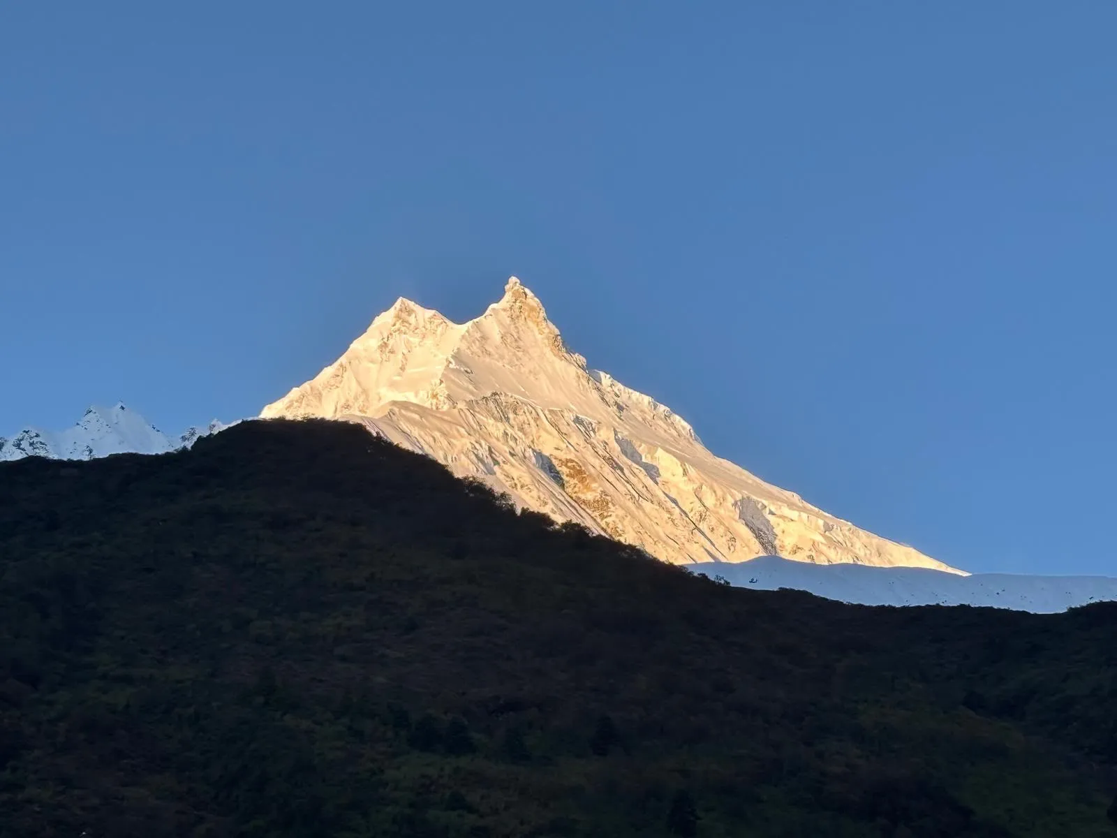 Manaslu peak glowing at sunrise on the Manaslu Circuit trek