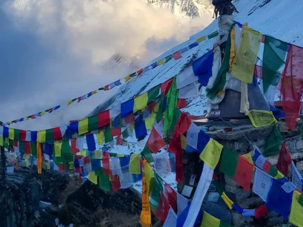 Fishtail Prayer Flag
