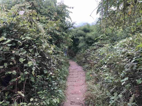 Hiking Champadevi 1