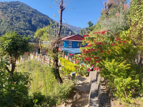 Jhinu Danda Abc Trek