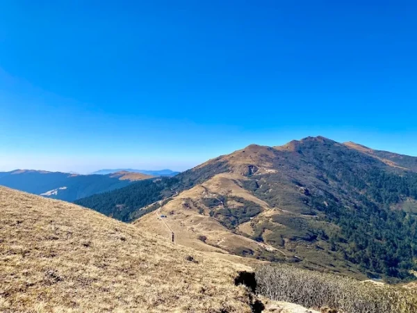 Pikey Peak Trail