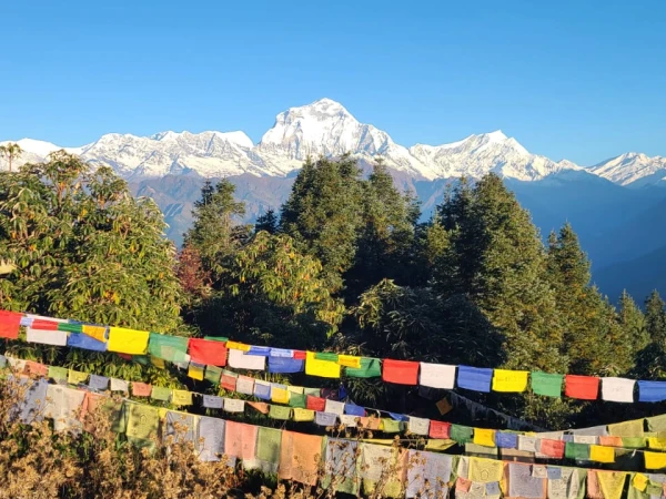 Prayer Flag Ghorepani Poonhill Viewpoint