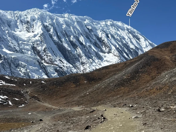 Snow Peak View From Tilicho