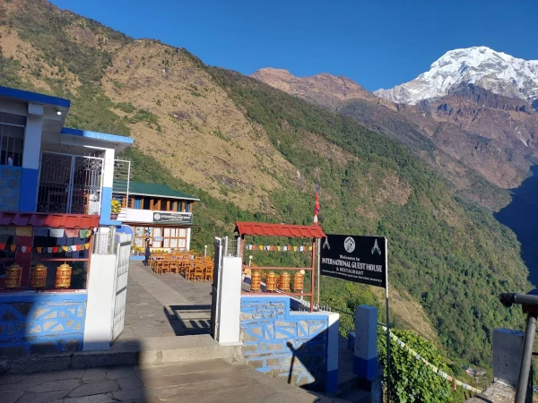 Tea House Abc Trekking