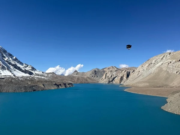 Whatsapp Image 2025 10 30 At 13.30.48 B528a1c2