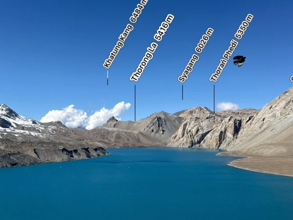 Whatsapp Image 2025 10 30 At 13.30.48 F8be9462