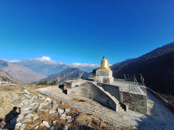 Whatsapp Image 2026 02 01 At 11.53.33 Am (1) 1