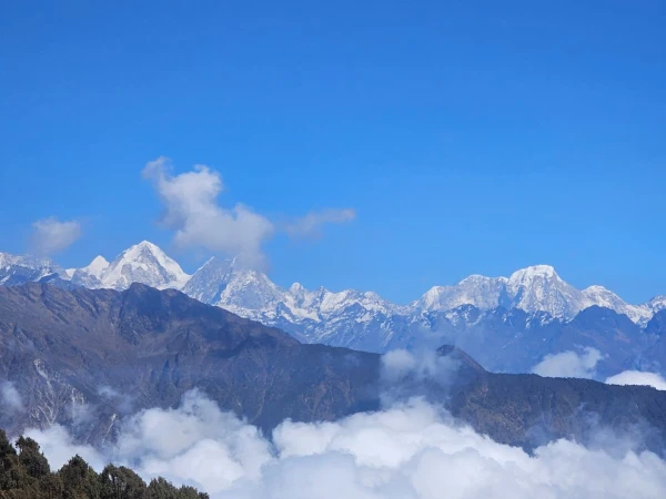 Whatsapp Image 2026 02 11 At 3.10.38 Pm