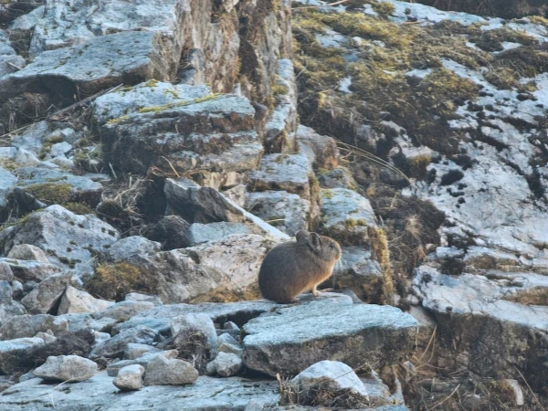 Whatsapp Image 2026 02 11 At 3.10.39 Pm