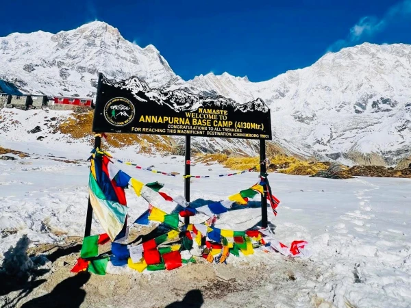 Whatsapp Image 2026 02 24 At 4.01.13 Pm