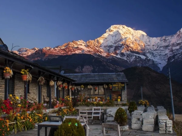 Whatsapp Image 2026 02 27 At 2.30.44 Pm