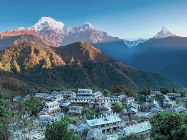 Whatsapp Image 2026 02 27 At 2.31.06 Pm