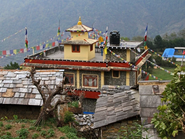 Whatsapp Image 2026 02 27 At 2.31.26 Pm