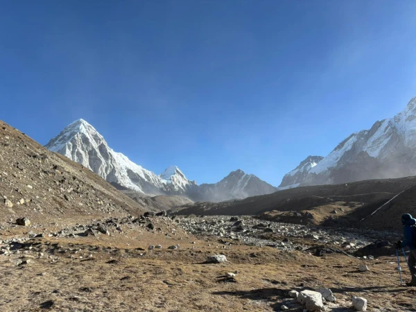 Whatsapp Image 2026 03 05 At 3.45.05 Pm