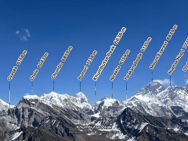 Whatsapp Image 2026 03 09 At 12.37.18 Pm