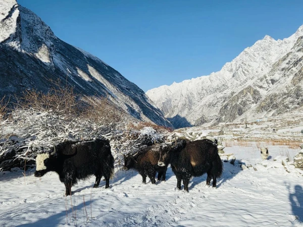 Whatsapp Image 2026 03 17 At 11.26.53 Am (8)