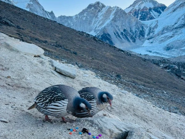 Whatsapp Image 2026 03 23 At 5.32.03 Pm (6)