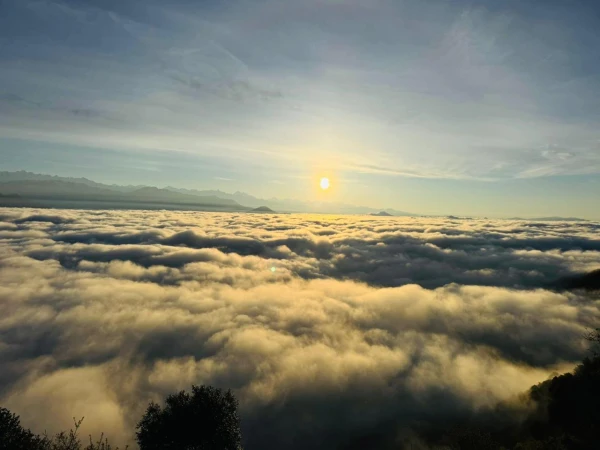 Whatsapp Image 2026 03 26 At 12.14.06 Pm 1