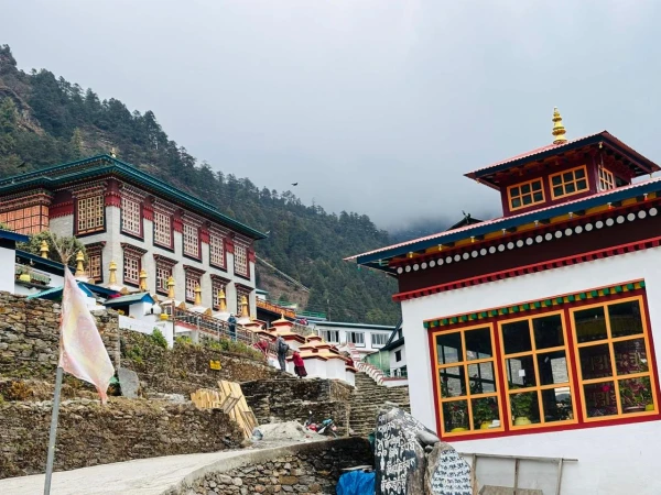 Whatsapp Image 2026 03 30 At 11.45.23 Am (5)