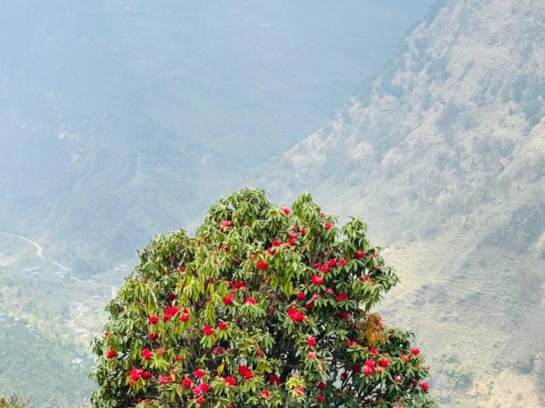 Whatsapp Image 2026 03 30 At 11.45.23 Am