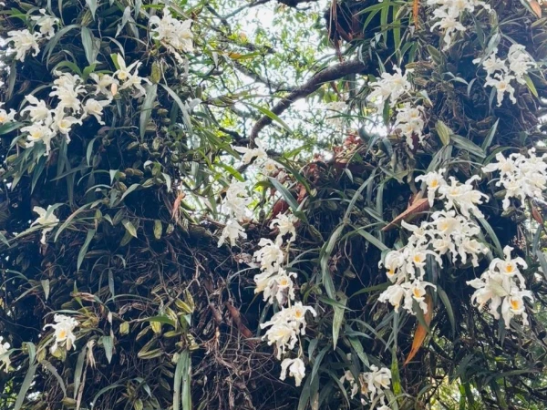 Whatsapp Image 2026 04 01 At 11.25.55 Am (2)