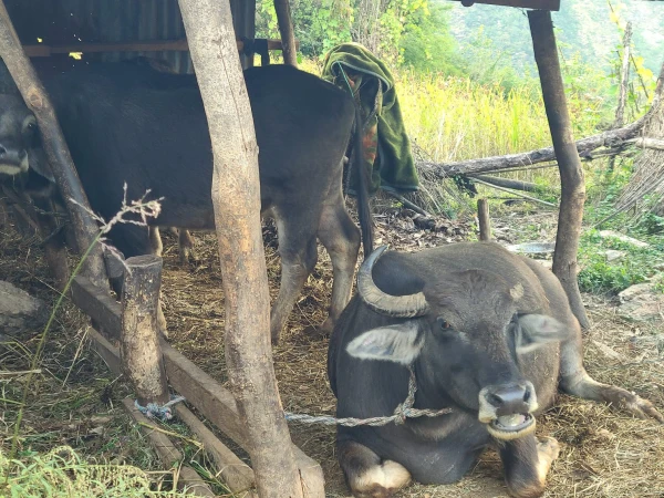 Whatsapp Image 2026 04 06 At 11.52.07