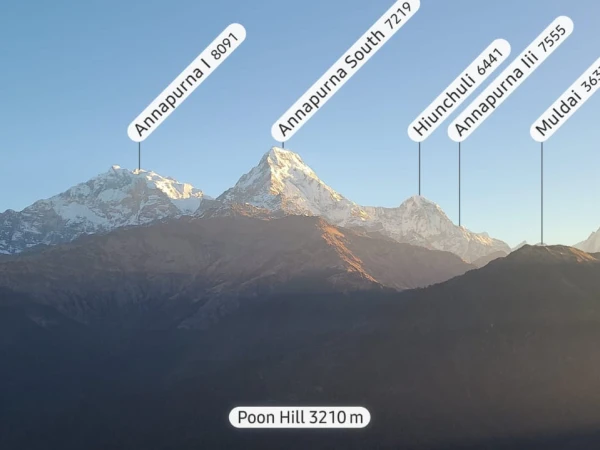 Whatsapp Image 2026 04 06 At 11.52.09