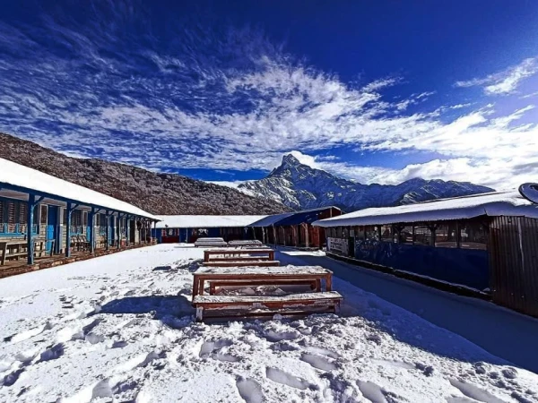 Whatsapp Image 2026 04 09 At 2.46.29 Pm