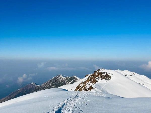 Whatsapp Image 2026 04 15 At 12.08.31 Pm (2) 2