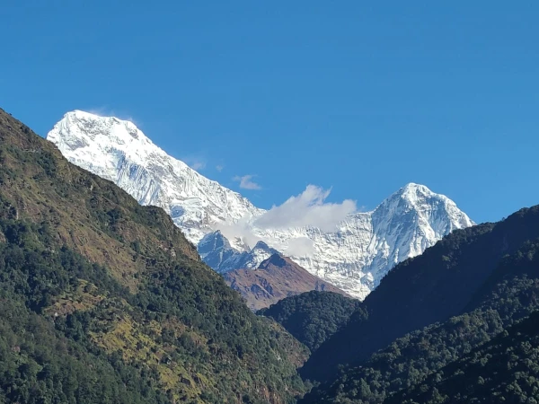 Whatsapp Image 2026 04 26 At 13.14.07 (1)